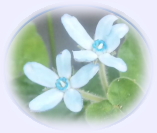 image00